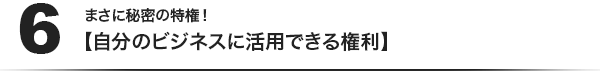 (6)まさに秘密の特権！【自分のビジネスに活用できる権利】